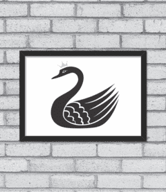 Quadro Cisne - loja online