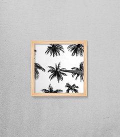 Quadro Coqueiros na internet