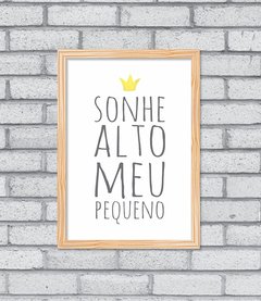 Quadro Sonhe Alto Aqua