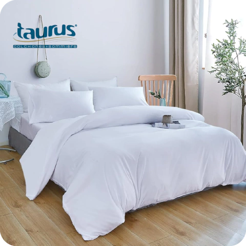 Sommier 1 plaza Espuma Taurus Super lujo