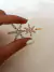 Invisible x Unidad Doble Starfish Dorado - comprar online