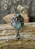 Anillo Gaia Metal Blanco agua calcedonia o amatista/granate en internet