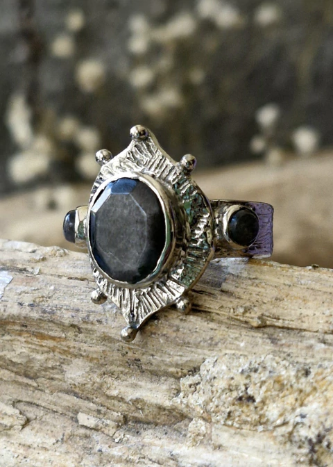 Imagen de Anillo Elvira (noble protección) metal blanco