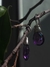 Aros Gota Nicole Plata 925