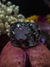 Anillo Arbol Baobab Metal Blanco - comprar online
