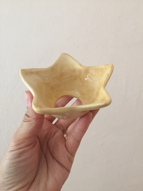 Germinador de paltas