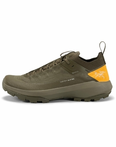 ARC'TERYX VERTEX ALPINE GTX SHOE MEN'S Tatsu/Edziza