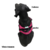 ARNES ANTIJLONES - ROSA (TALLA S M L ) en internet