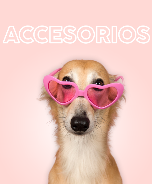 Banner de SofistiPets - Tu mascota se lo merece!