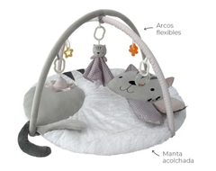 CARESTINO Gimnasio Didáctico Gatito - comprar online