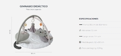 CARESTINO Gimnasio Didáctico Gatito - tienda online