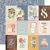 Imagem do Bloco 30x30cm - Front Porch - Simple Stories