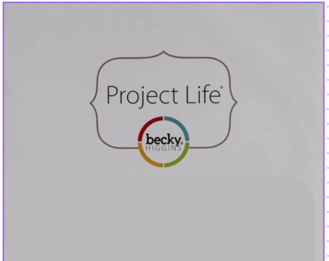 Plásticos Project Life - Design Variados