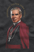 Camiseta Fulton Sheen Grafite na internet
