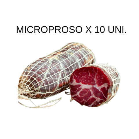 MICROPOROSO PARA BONDIOLA 10 Unidades