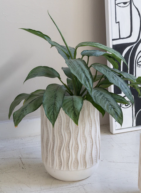 Maceta Labrada en internet