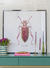 Cuadro Insecto Magenta