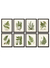 Cuadro Herbal - comprar online