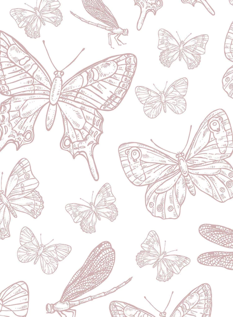 Empapelado Cod. 2117 - Rosa