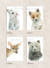 Cuadros Animales Acuarela con Frases - comprar online