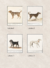 Cuadro Colección Caninos en internet
