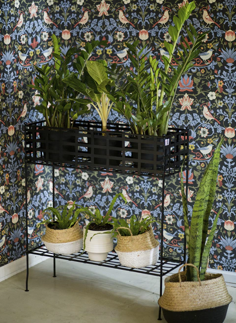 Macetero de Hierro con Estante