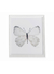Cuadros Mariposas Girl - comprar online