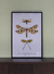 Cuadro Colección Mariposas en internet