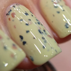 Imagem do Dalmatian Jasper