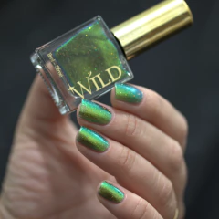 Imagem do WILD - Cosmic Echo