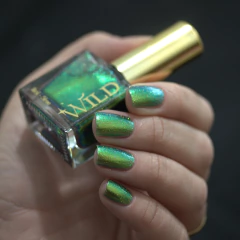 WILD - Cosmic Echo - loja online