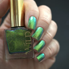 WILD - Cosmic Echo - whatcha