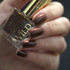 Imagem do WILD - Event Horizon