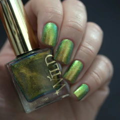 WILD - Expansion - loja online