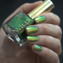 WILD - Expansion - comprar online