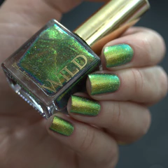 WILD - Expansion na internet