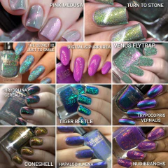 Mystery Bag #3 - whatcha