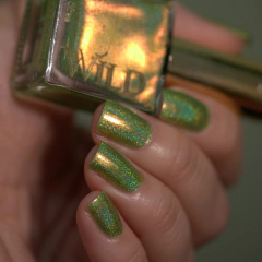 Mandacaru - comprar online