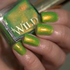 Pingo-de-ouro - comprar online