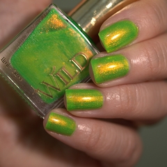Pingo-de-ouro
