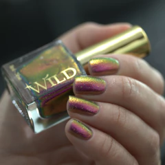 WILD - Quantum Bloom