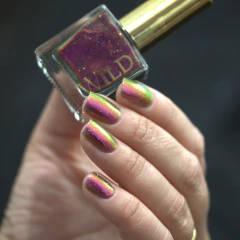 WILD - Quantum Bloom na internet