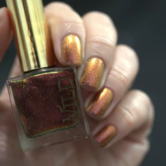 WILD - Singularity na internet