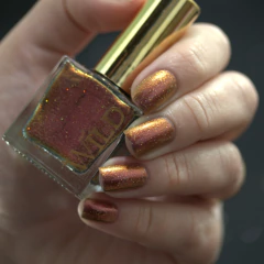 WILD - Singularity - whatcha