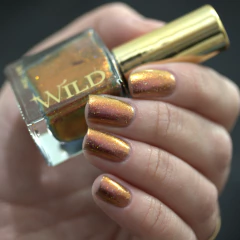 WILD - Singularity - comprar online