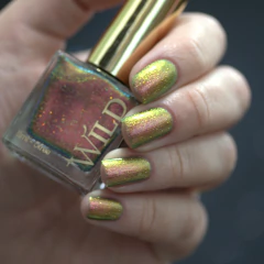 WILD - Stellar Genesis