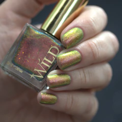 Imagem do WILD - Stellar Genesis