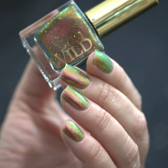 WILD - Stellar Genesis na internet