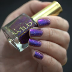 Imagem do WILD - Time Warp