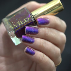 WILD - Time Warp - loja online